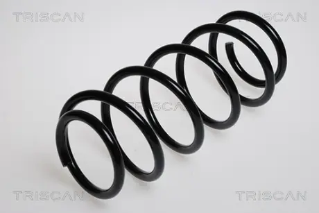 Пружина ходовой части TRISCAN 875024006