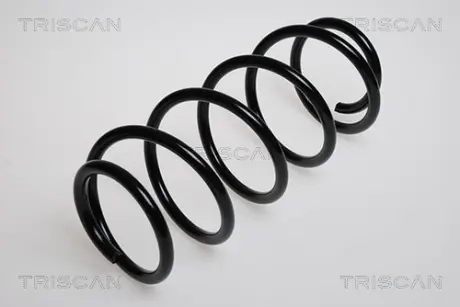 Пружина ходовой части TRISCAN 875024007