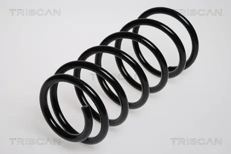 Пружина ходовой части TRISCAN 875024014
