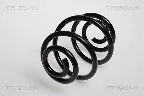 Пружина ходовой части TRISCAN 875024018 (фото 1)