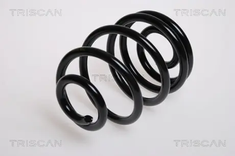 Пружина ходовой части TRISCAN 875024019