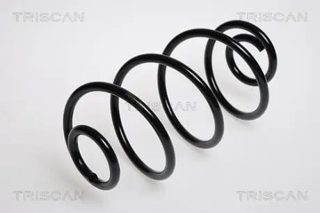 Пружина ходовой части TRISCAN 875024020A