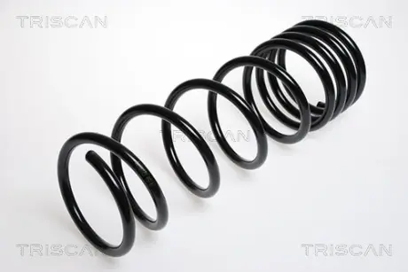Пружина ходовой части TRISCAN 875024024