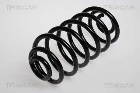 Пружина ходовой части TRISCAN 875024027