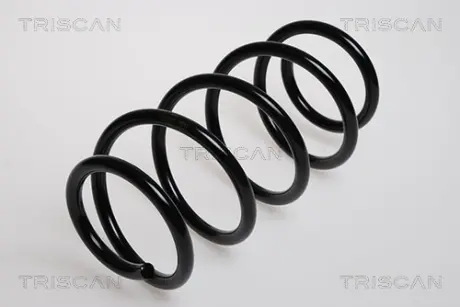 Пружина ходовой части TRISCAN 875024028