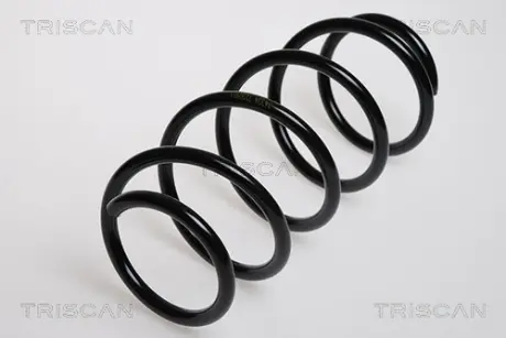 Пружина ходовой части TRISCAN 875024029