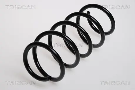 Пружина ходовой части TRISCAN 875024031