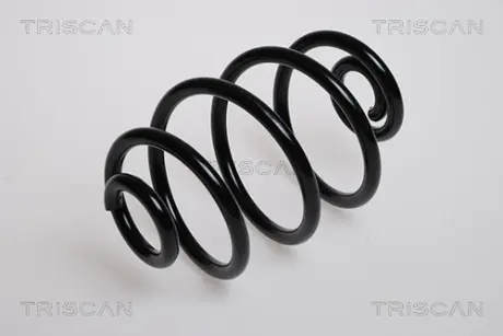 Пружина ходовой части TRISCAN 875024032