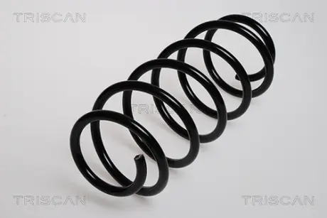 Пружина ходовой части TRISCAN 875024037