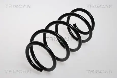 Пружина ходовой части TRISCAN 875024041