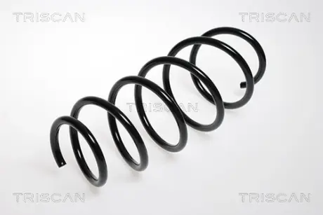 Пружина ходовой части TRISCAN 875024047