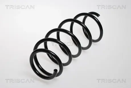 Пружина ходовой части TRISCAN 875024049