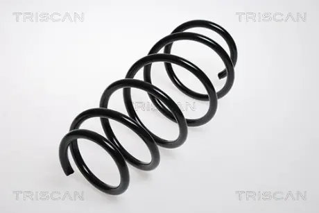 Пружина ходовой части TRISCAN 875024050