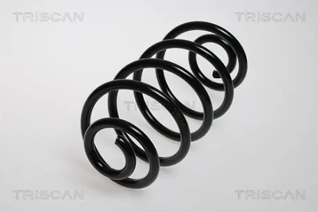 Пружина ходовой части TRISCAN 875024054