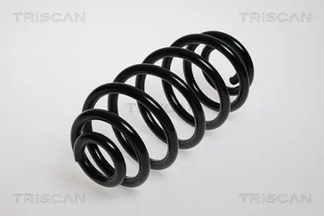Пружина ходовой части TRISCAN 875024065