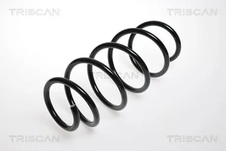 Пружина ходовой части TRISCAN 875024070
