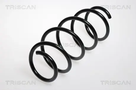 Пружина ходовой части TRISCAN 875024071