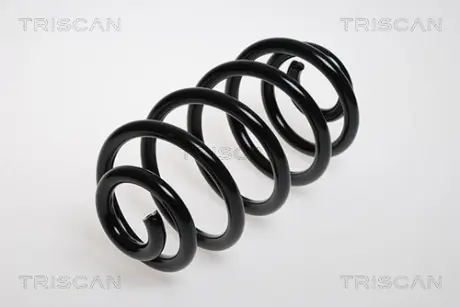 Пружина ходовой части TRISCAN 875024073