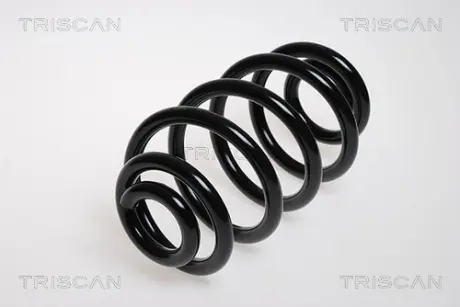 Пружина ходовой части TRISCAN 875024074