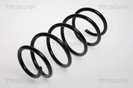 Пружина ходовой части TRISCAN 875024075