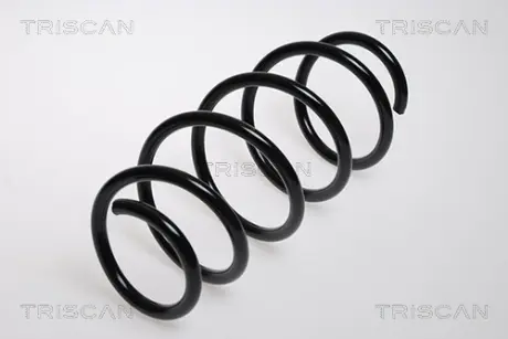 Пружина ходовой части TRISCAN 875024076