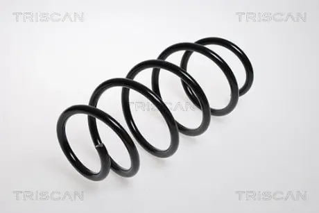 Пружина ходовой части TRISCAN 875024077