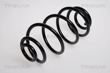 Пружина ходовой части TRISCAN 875024105