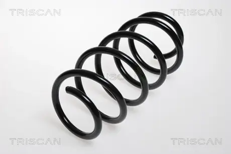 Пружина ходовой части TRISCAN 875024106