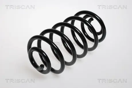 Пружина ходовой части TRISCAN 875024107