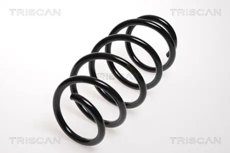 Пружина ходовой части TRISCAN 875024108