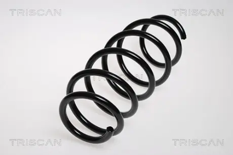 Пружина ходовой части TRISCAN 875024110