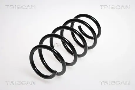 Пружина ходовой части TRISCAN 875024112