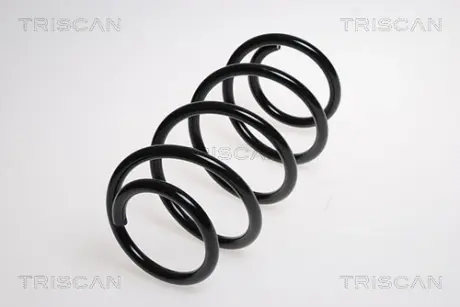Пружина ходовой части TRISCAN 875024114