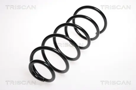 Пружина ходовой части TRISCAN 875024116