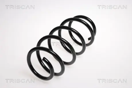 Пружина ходовой части TRISCAN 875024121