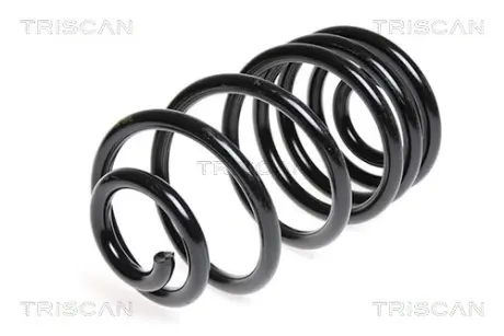 Пружина ходовой части TRISCAN 875024122