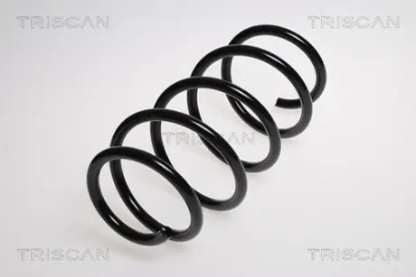 Пружина ходовой части TRISCAN 875024123
