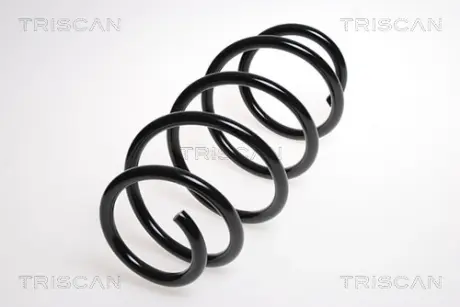 Пружина ходовой части TRISCAN 875024124