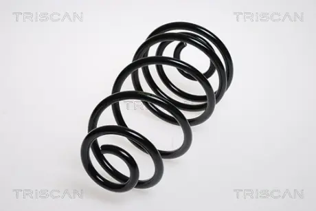 Пружина ходовой части TRISCAN 875024127