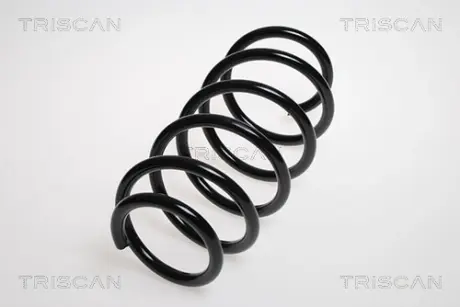 Пружина ходовой части TRISCAN 875024131