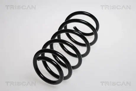 Пружина ходовой части TRISCAN 875024132