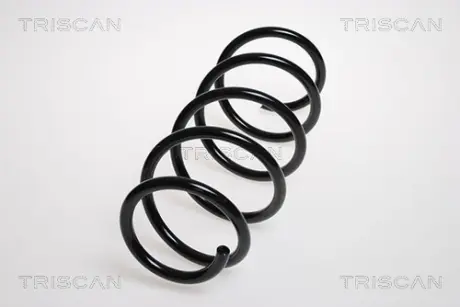 Пружина ходовой части TRISCAN 875024137