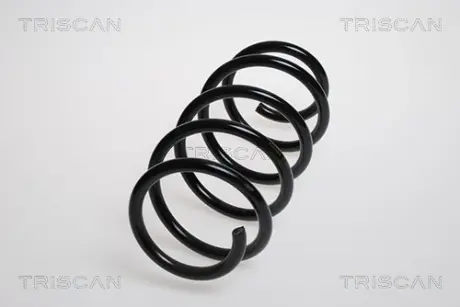 Пружина ходовой части TRISCAN 875024139