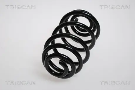 Пружина ходовой части TRISCAN 875024141