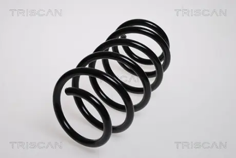 Пружина ходовой части TRISCAN 875024143