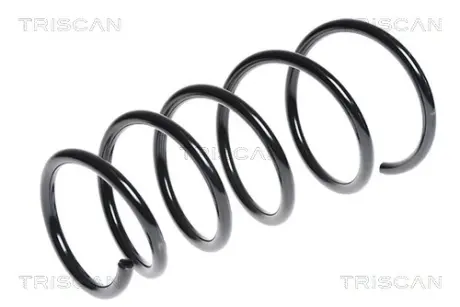 Пружина ходовой части TRISCAN 875024145
