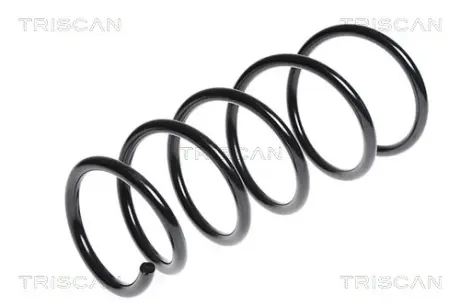 Пружина ходовой части TRISCAN 875024147