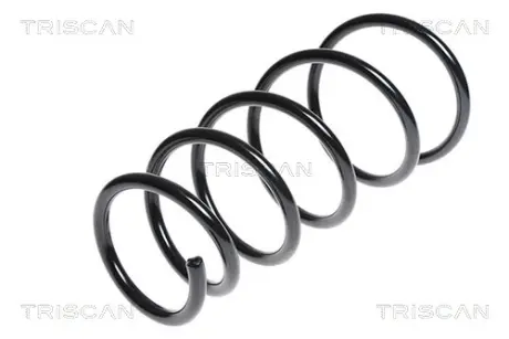 Пружина ходовой части TRISCAN 875024148