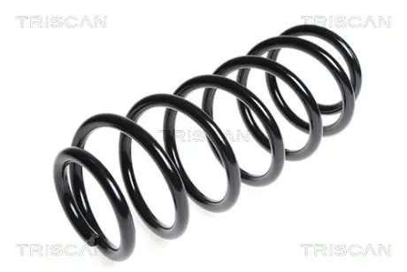 Пружина ходовой части TRISCAN 875024149