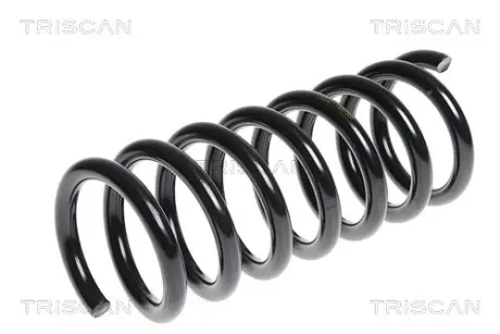 Пружина ходовой части TRISCAN 875024152